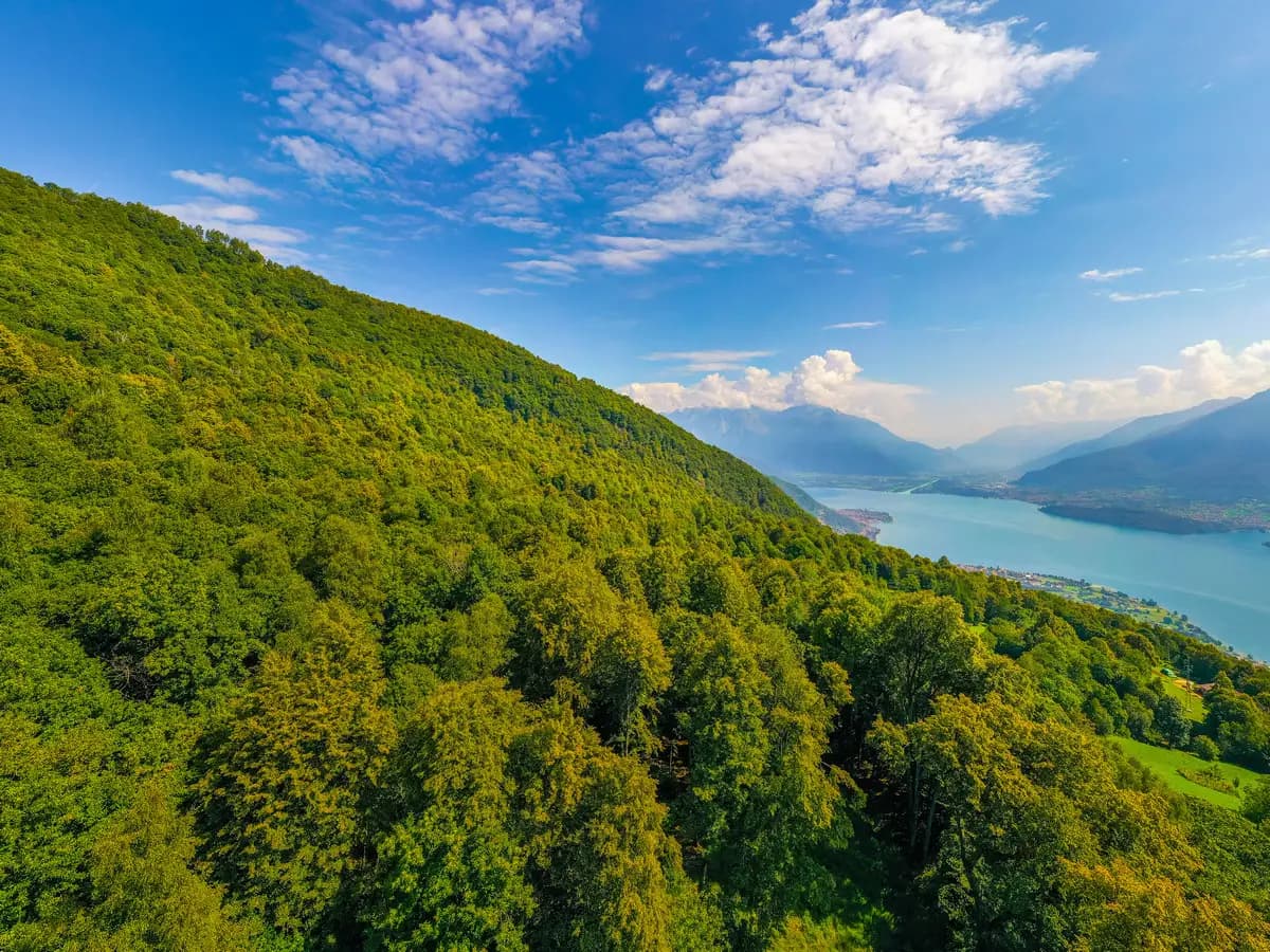 Le foreste in Lombardia hanno un’estensione totale di oltre 600mila ettari