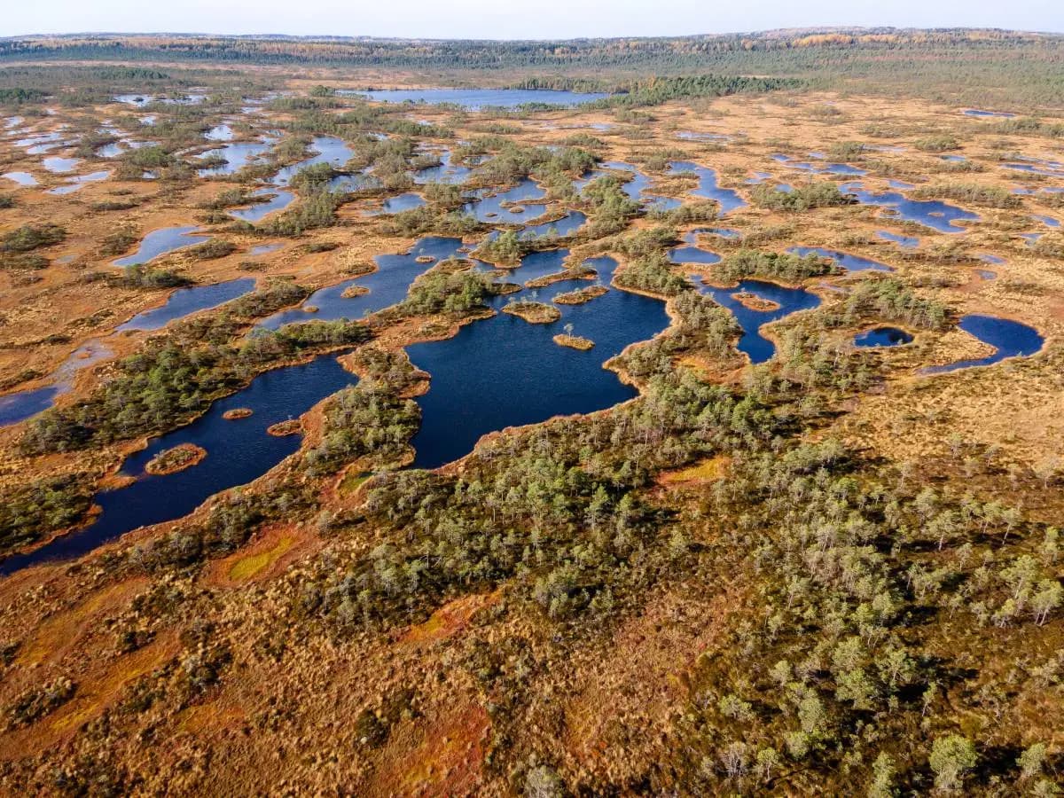 Biodiversità, proteggere l’1 per cento della Terra contro l'estinzione di massa