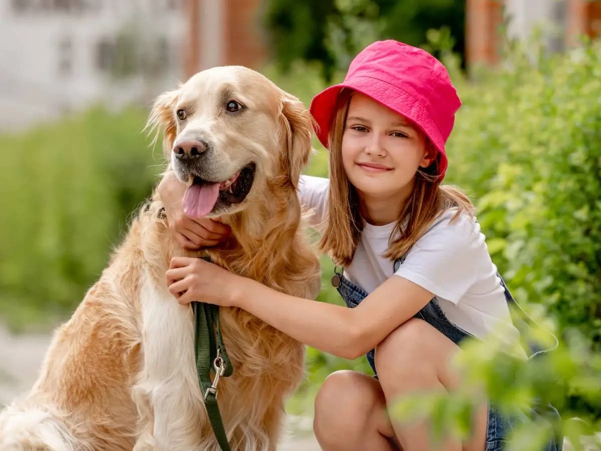 Adozione cani, consigli per scelte consapevoli contro gli abbandoni