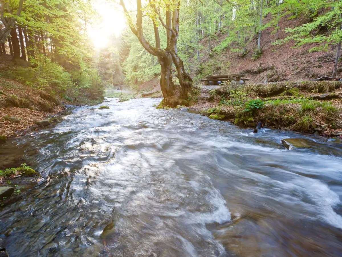 Specie d’acqua dolce, un quarto è a rischio estinzione