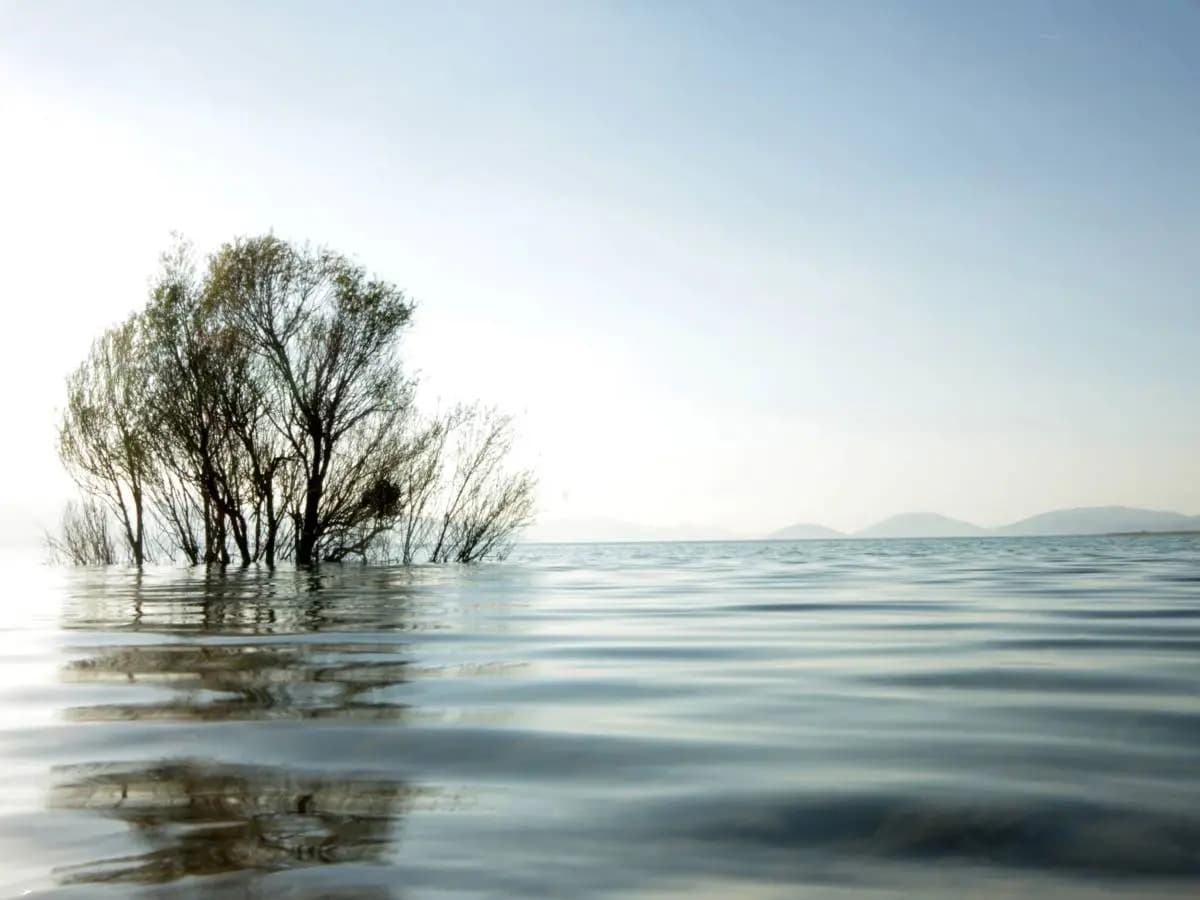 Innalzamento del livello del mare, entro il 2100 potrebbe toccare i 2 metri