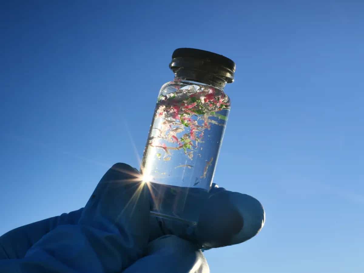Come eliminare le microplastiche dall’acqua?