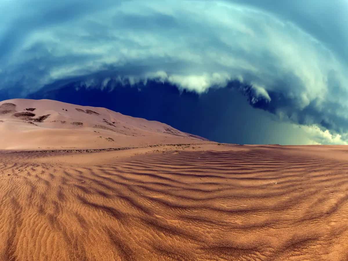 Allergie di primavera tra le cause possibili anche la sabbia del Sahara