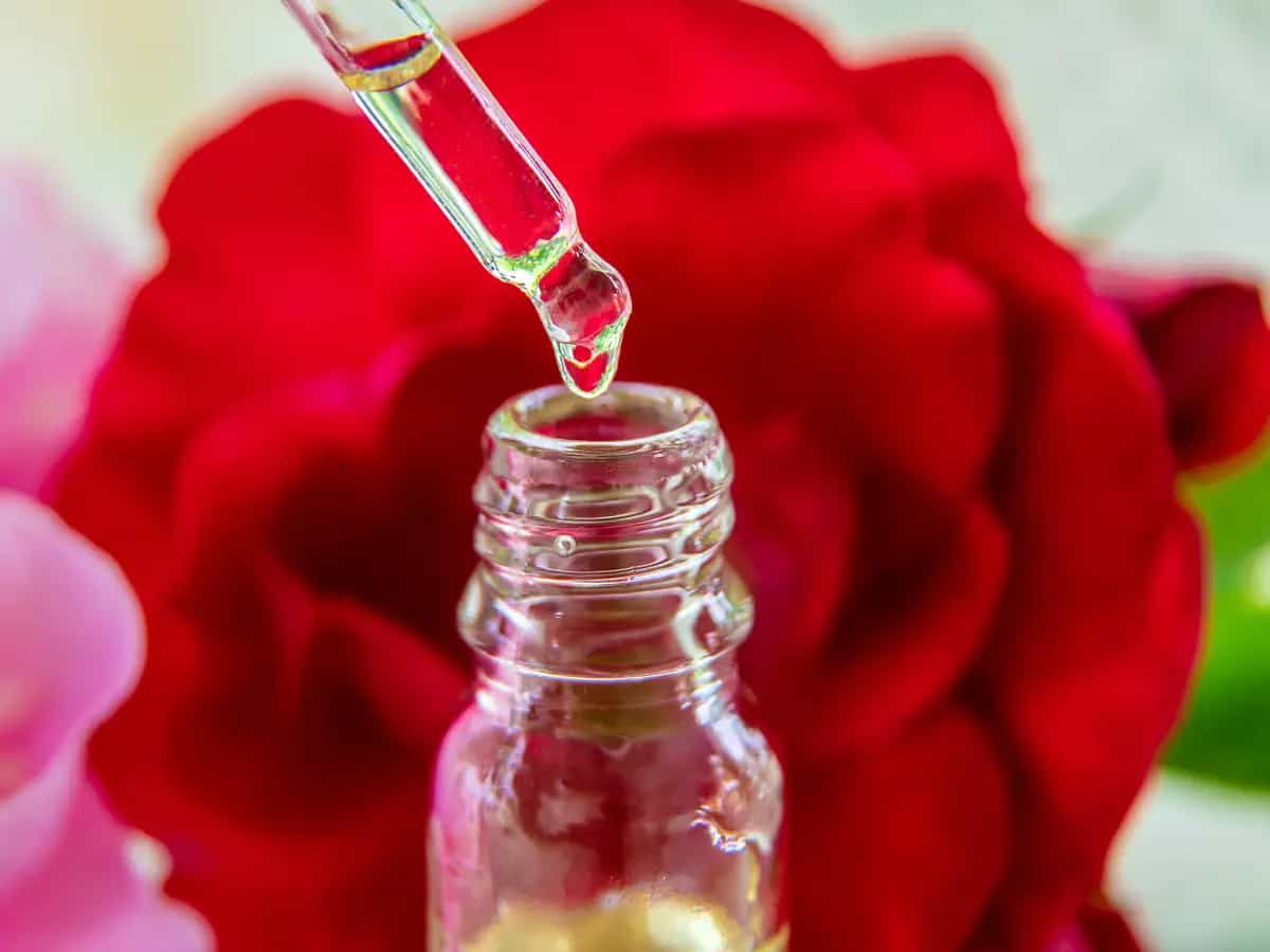 olio rosa pesticida naturale