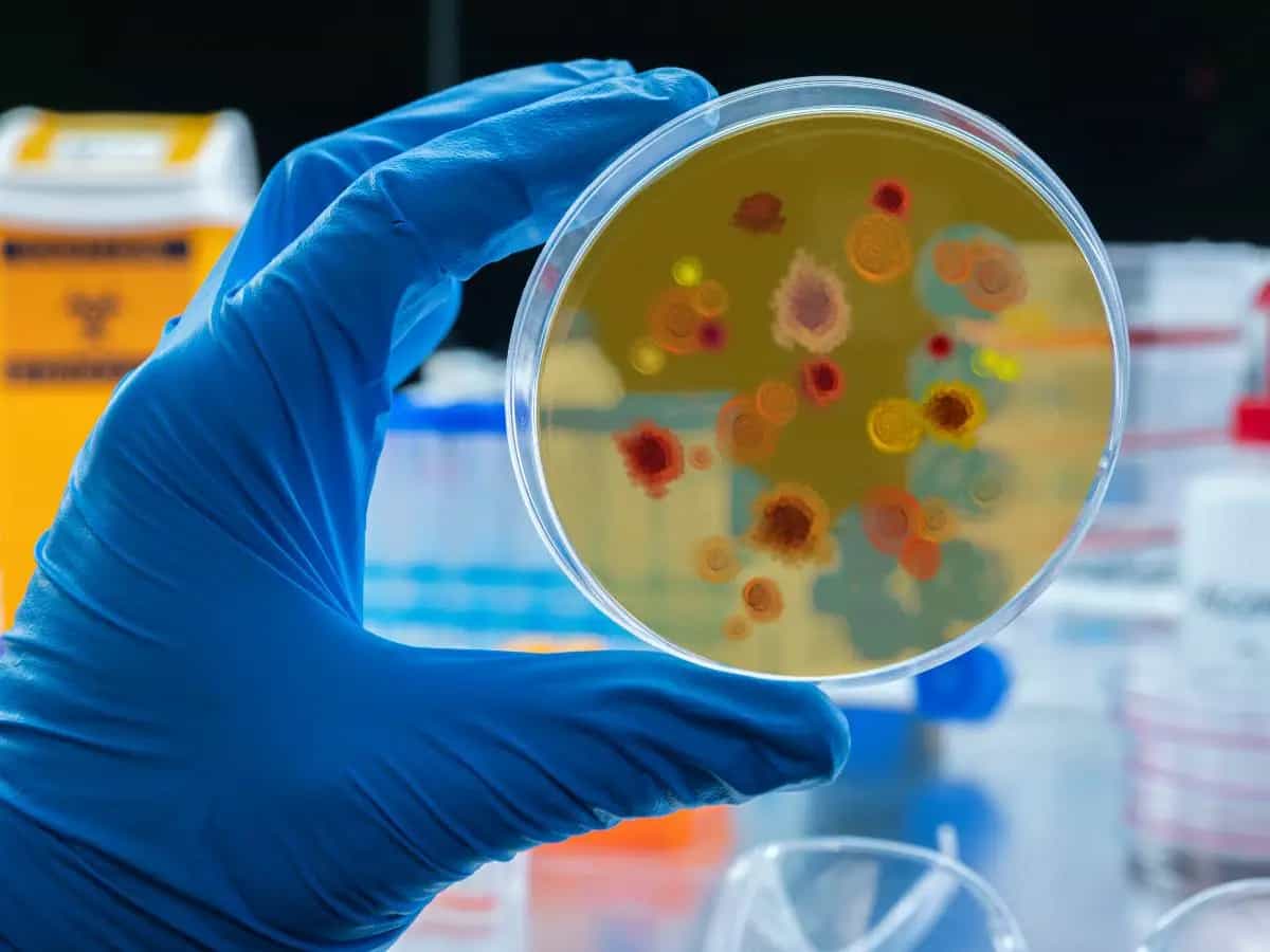 Resistenza agli antibiotici, sempre più batteri la sviluppano