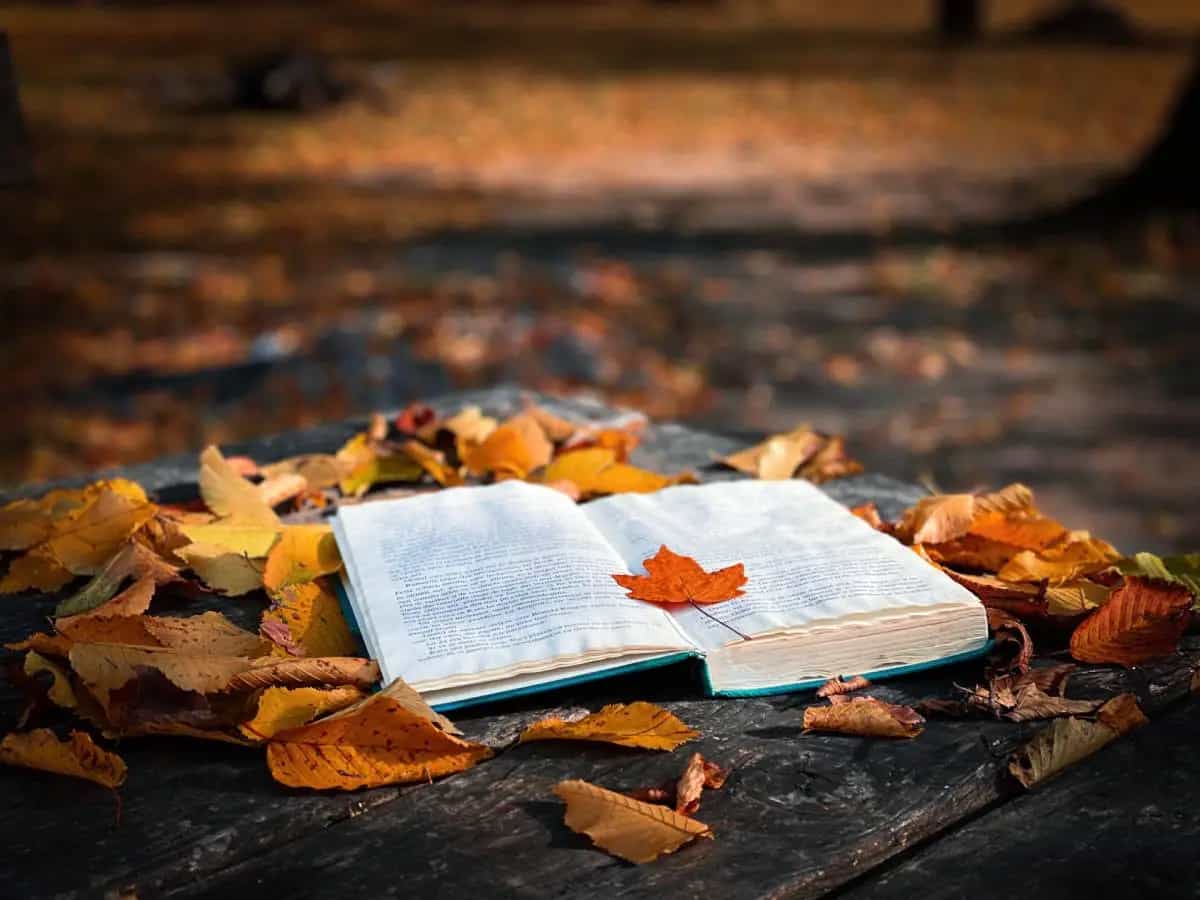 Gli aforismi più belli sulle foglie