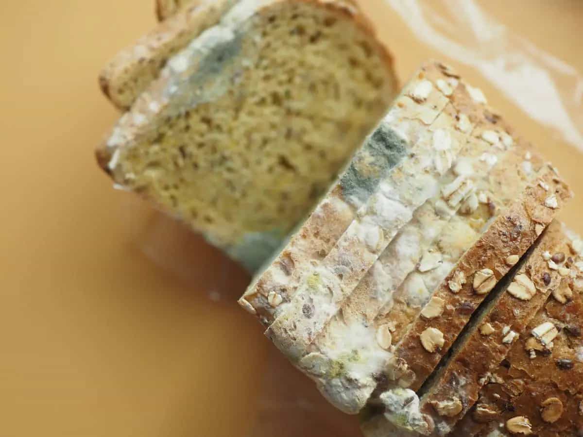 Muffa nel cibo, quando si può togliere e quando buttare tutto